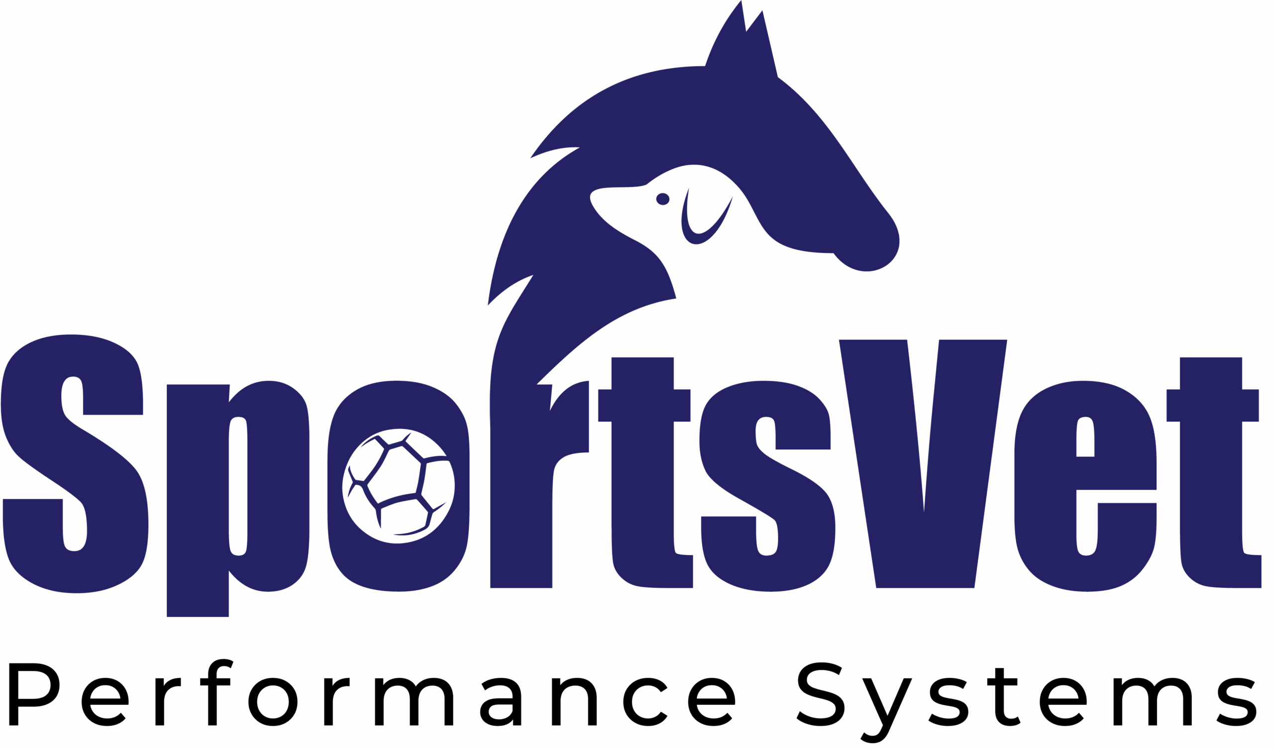 Athletic Sports Video